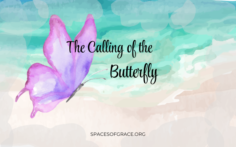 The Calling of the Butterfly