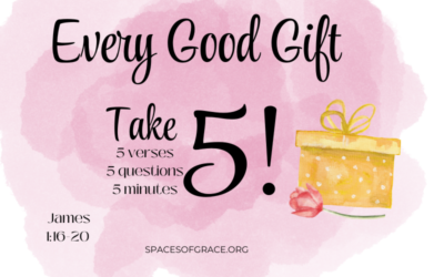 Take 5! Quick Bible Study: Every Good Gift